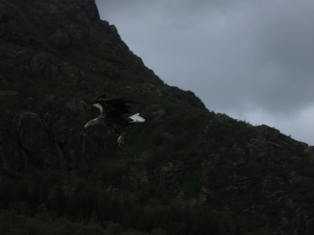 Hurtigruten_2015-06-25_16-37